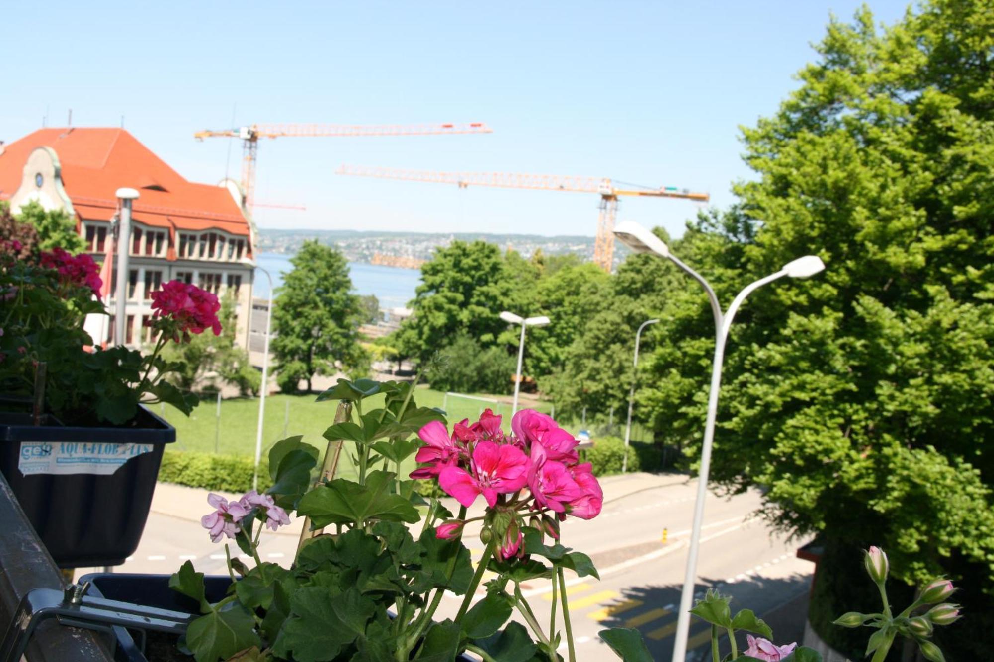 Hotel Glaernisch Hof Horgen Exteriér fotografie