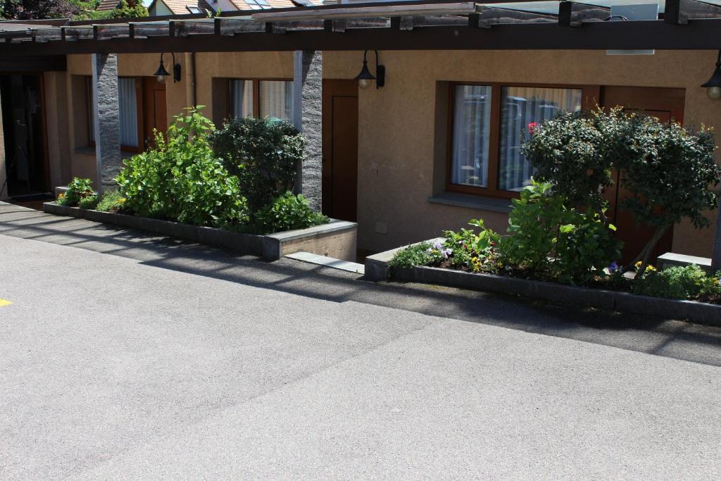 Hotel Glaernisch Hof Horgen Pokoj fotografie